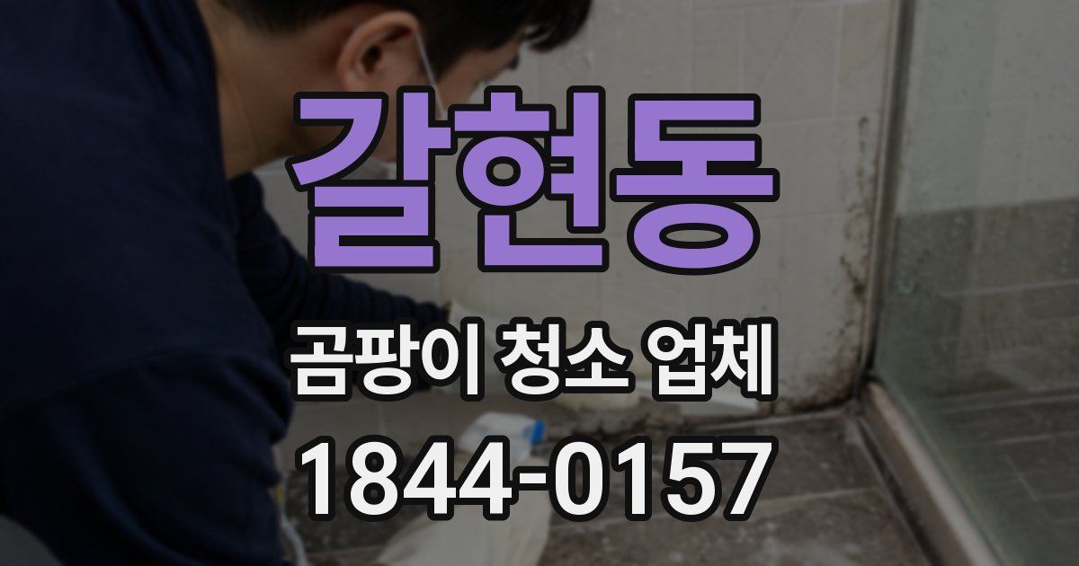 갈현동 곰팡이 청소 업체