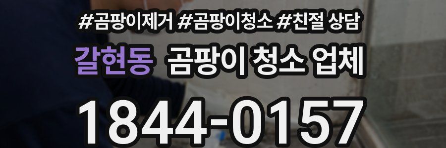 갈현동 곰팡이 청소 업체