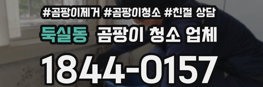 둑실동 곰팡이 청소 업체