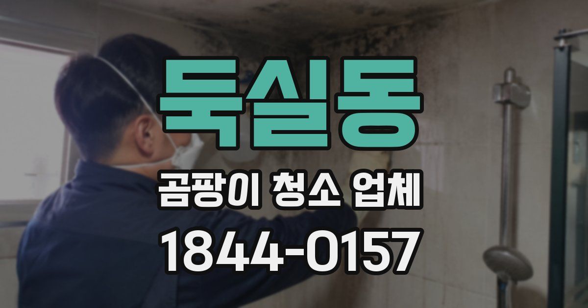 둑실동 곰팡이 청소 업체