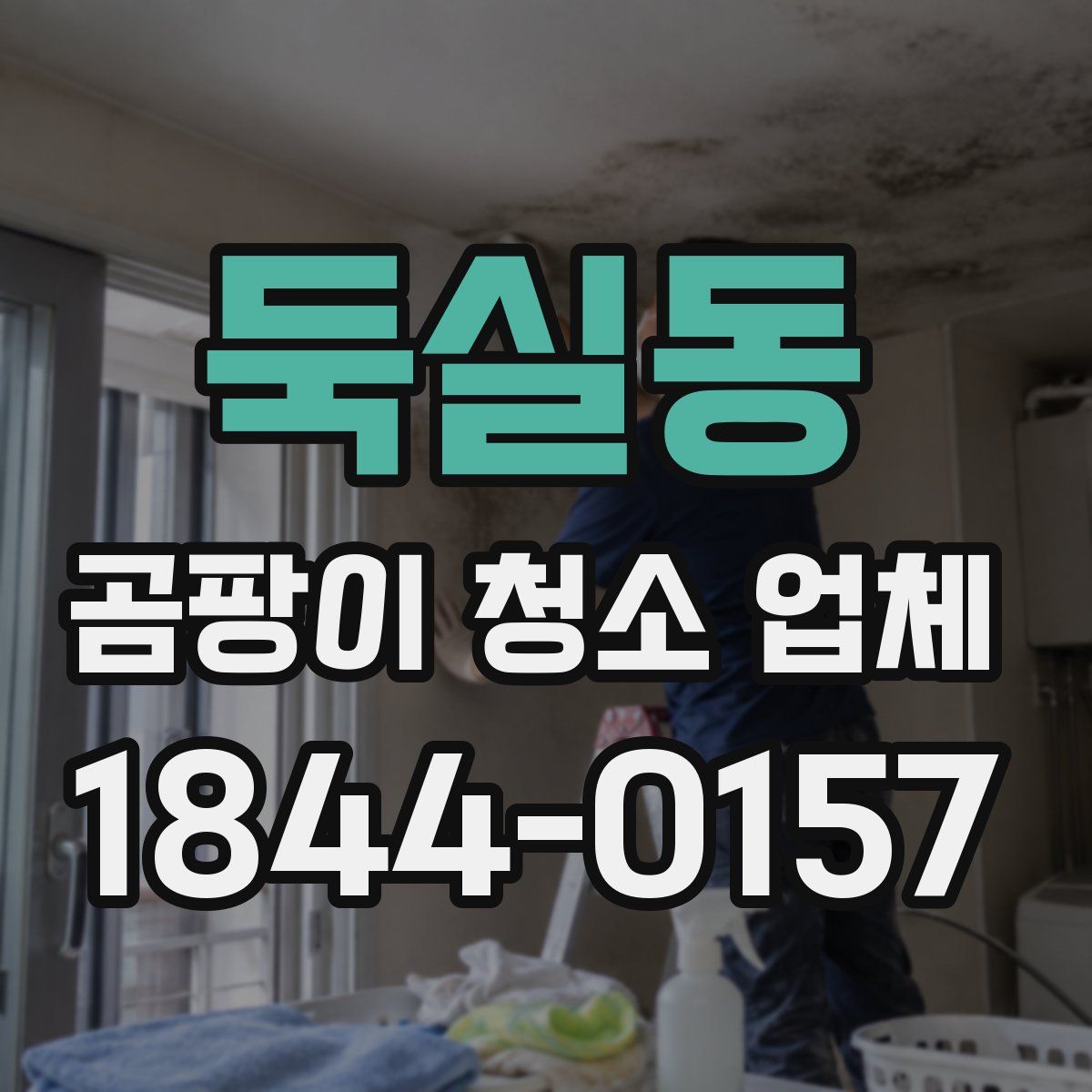둑실동 곰팡이 청소 업체