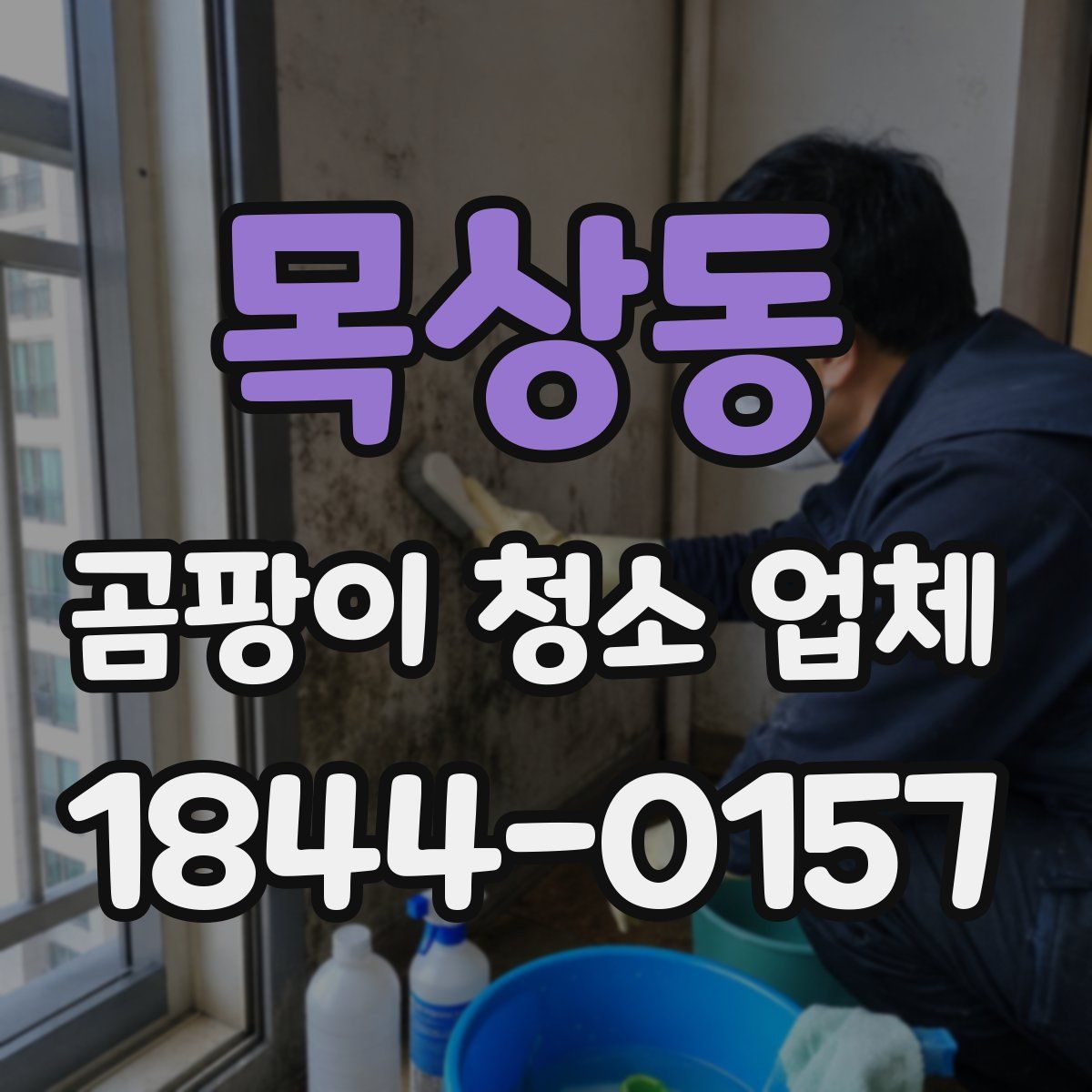 목상동 곰팡이 청소 업체
