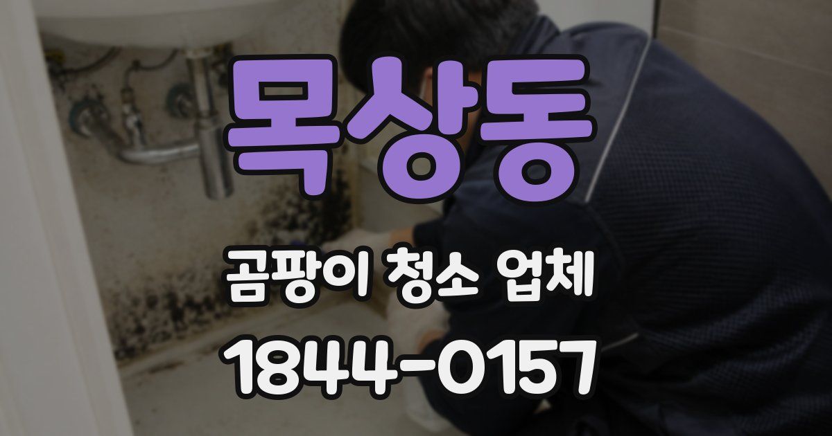 목상동 곰팡이 청소 업체