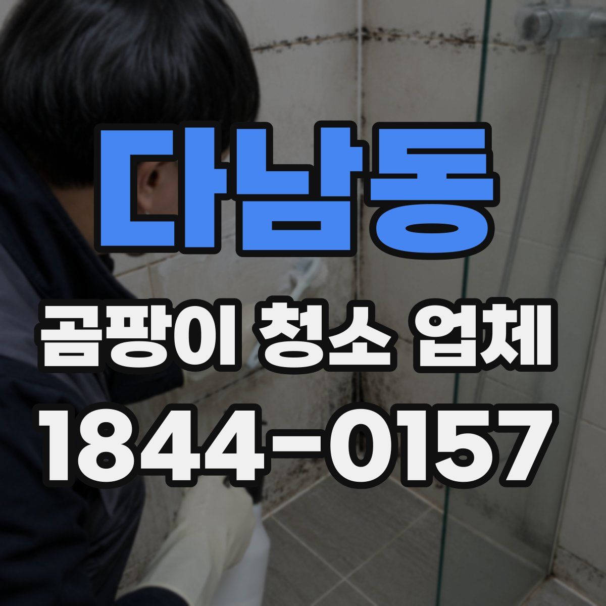 다남동 곰팡이 청소 업체