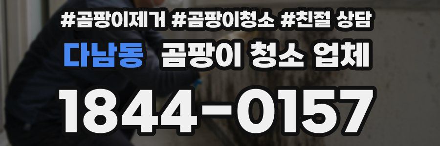 다남동 곰팡이 청소 업체