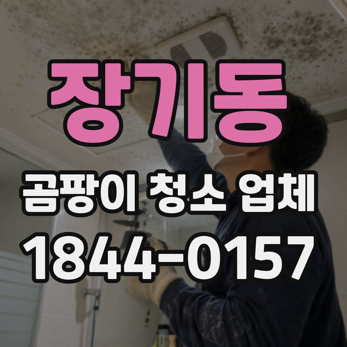 장기동 곰팡이 청소 업체