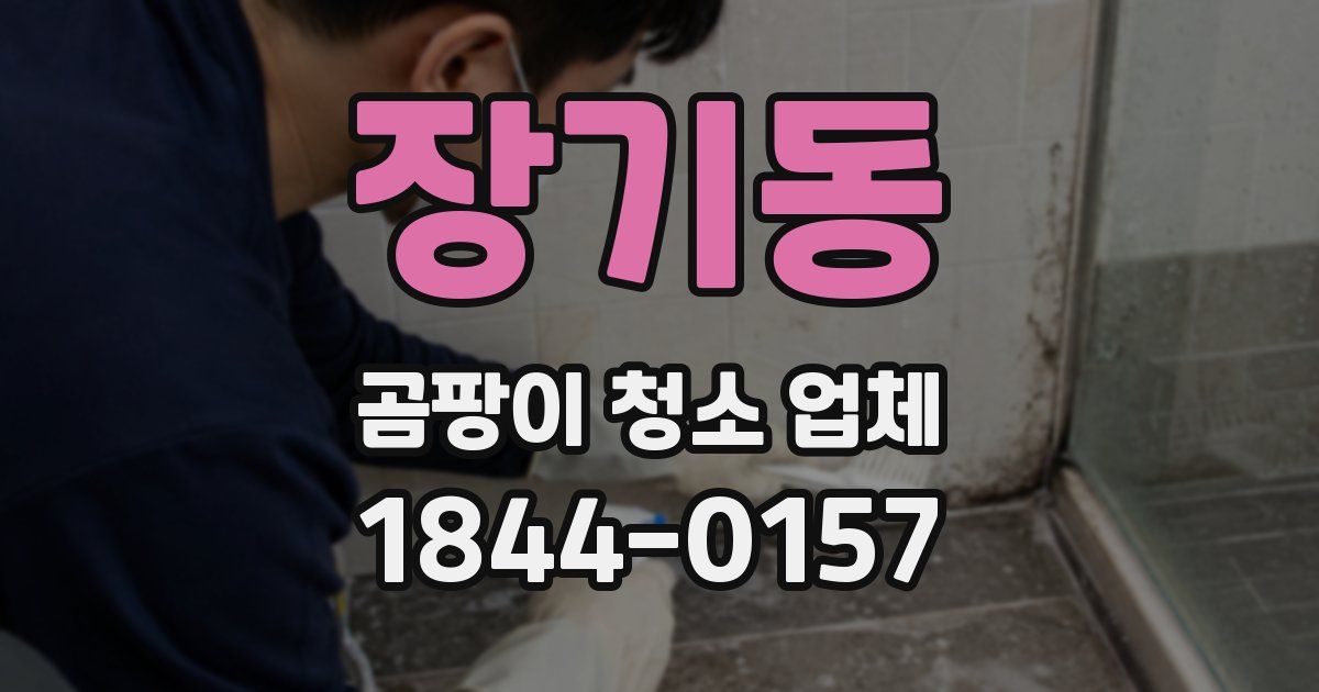 장기동 곰팡이 청소 업체