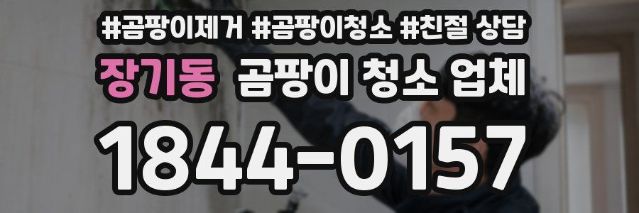 장기동 곰팡이 청소 업체
