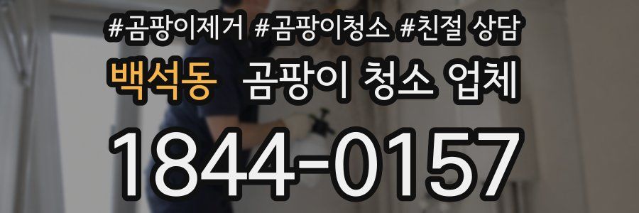 백석동 곰팡이 청소 업체
