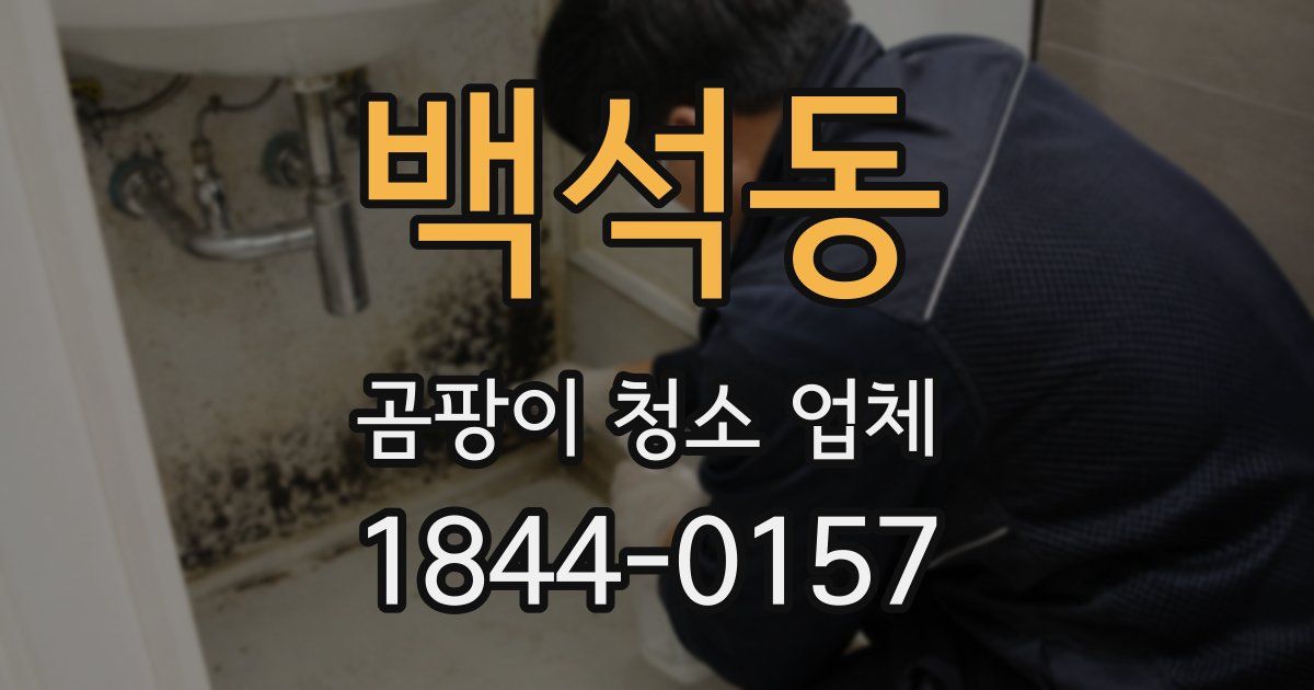 백석동 곰팡이 청소 업체