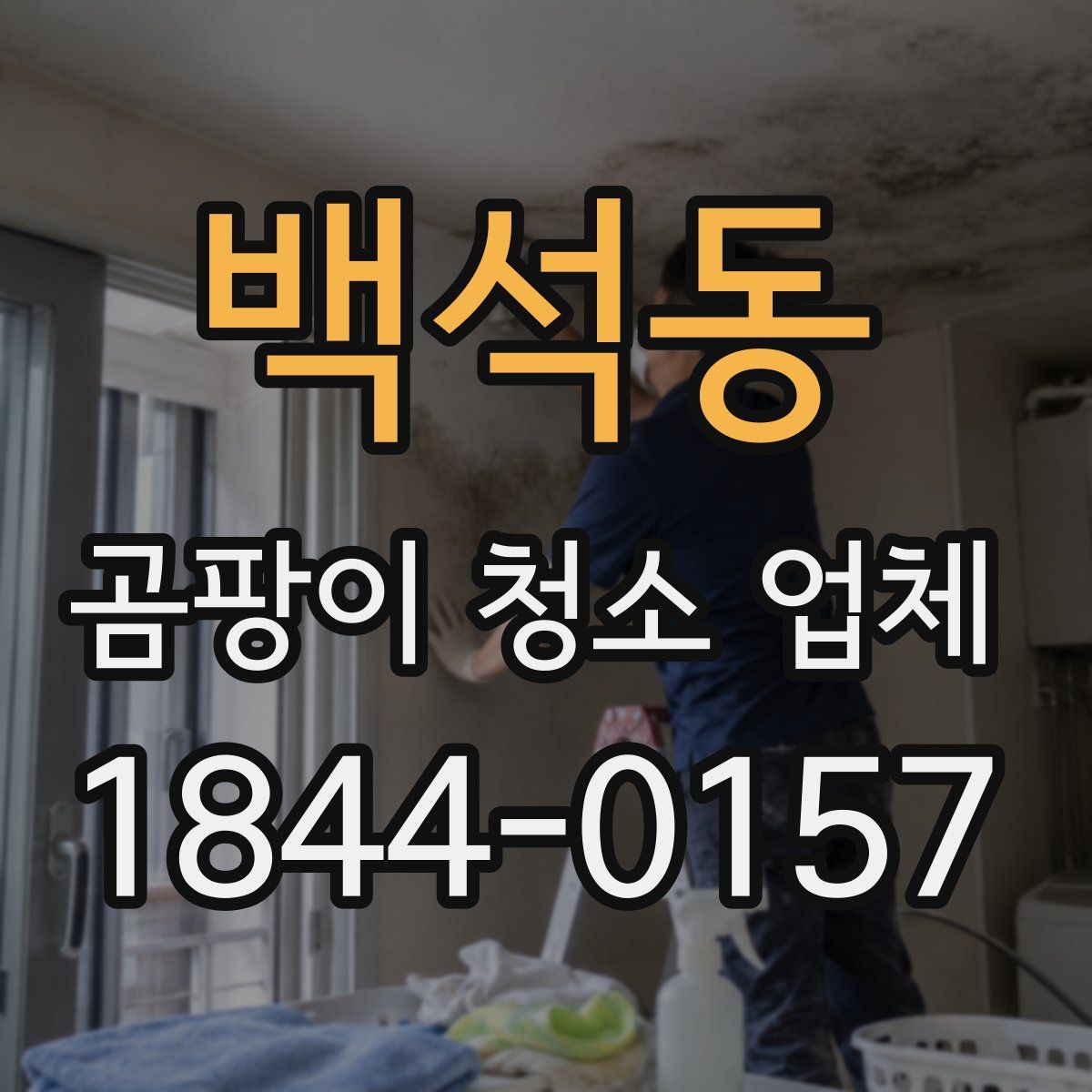 백석동 곰팡이 청소 업체