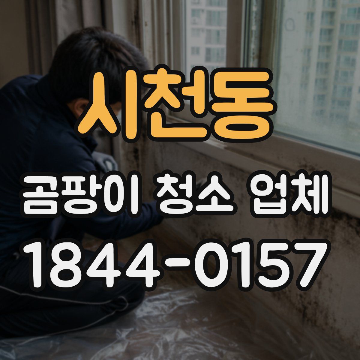 시천동 곰팡이 청소 업체