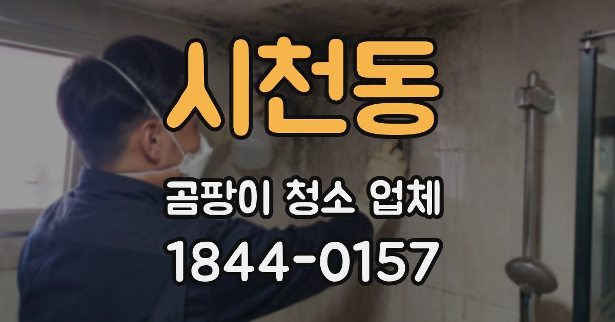 시천동 곰팡이 청소 업체