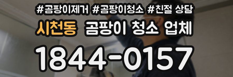 시천동 곰팡이 청소 업체
