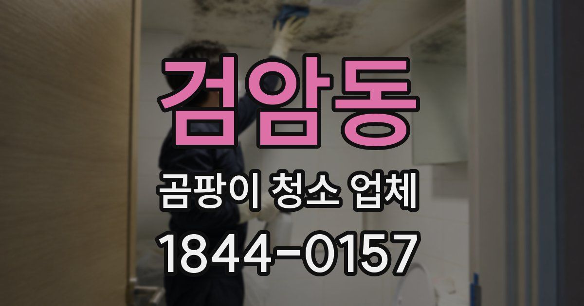 검암동 곰팡이 청소 업체