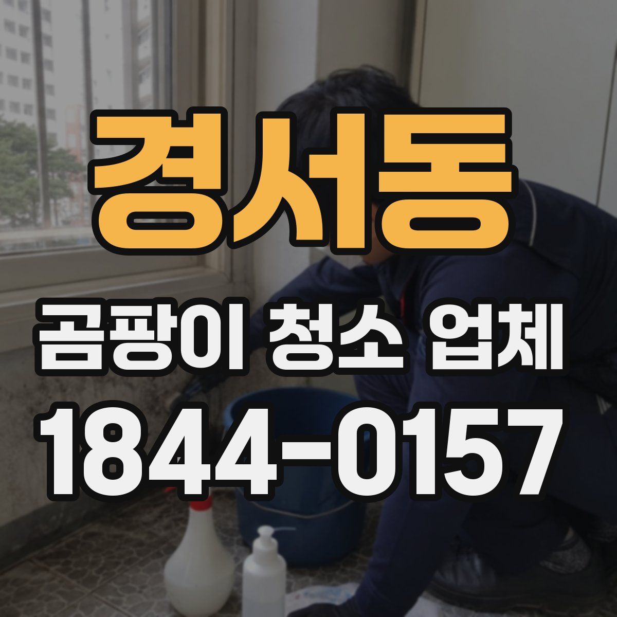 경서동 곰팡이 청소 업체