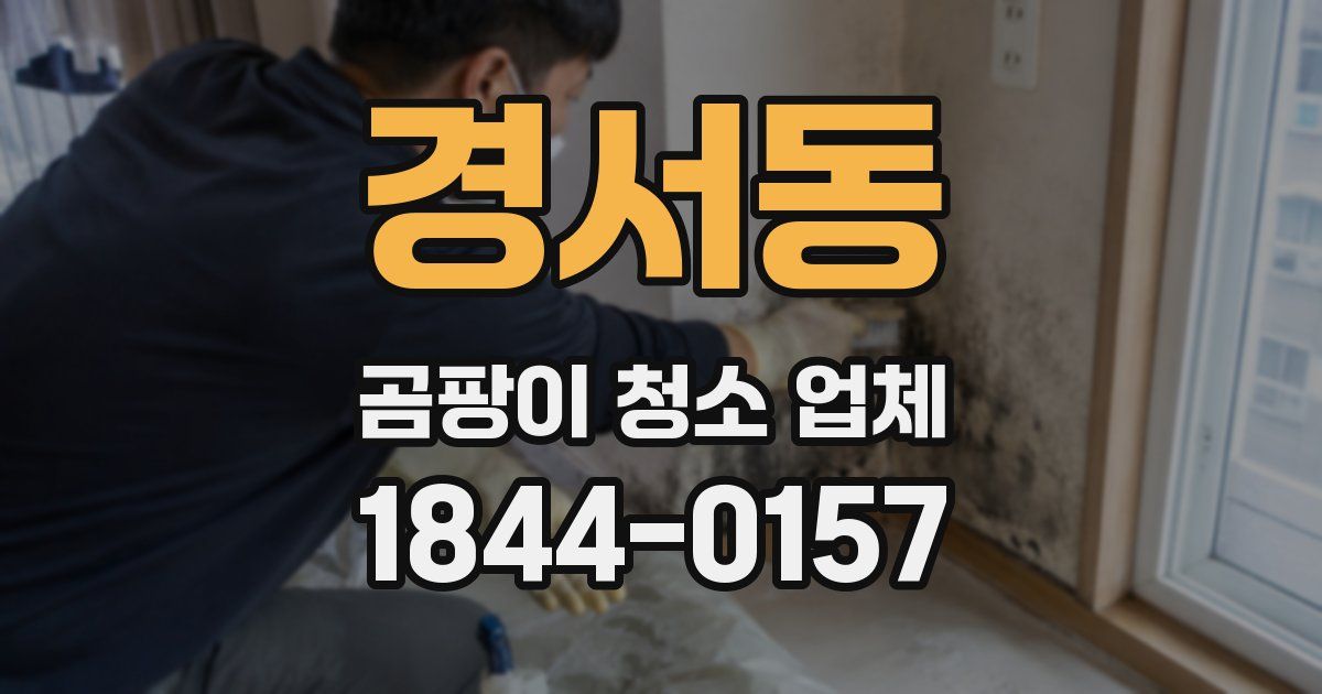 경서동 곰팡이 청소 업체