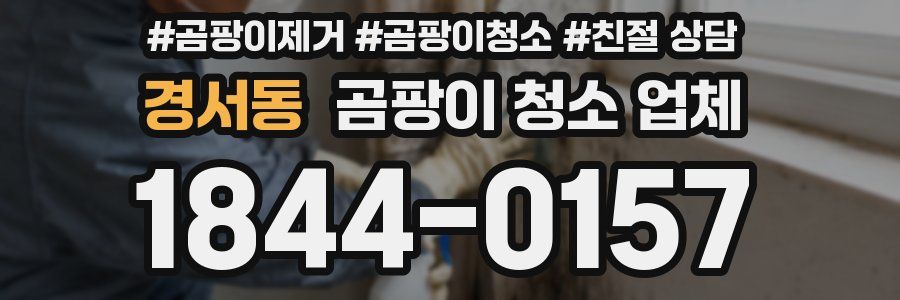 경서동 곰팡이 청소 업체