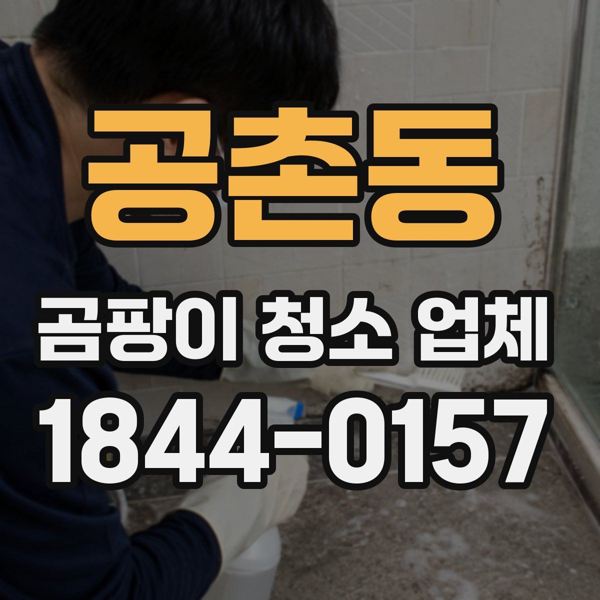 공촌동 곰팡이 청소 업체