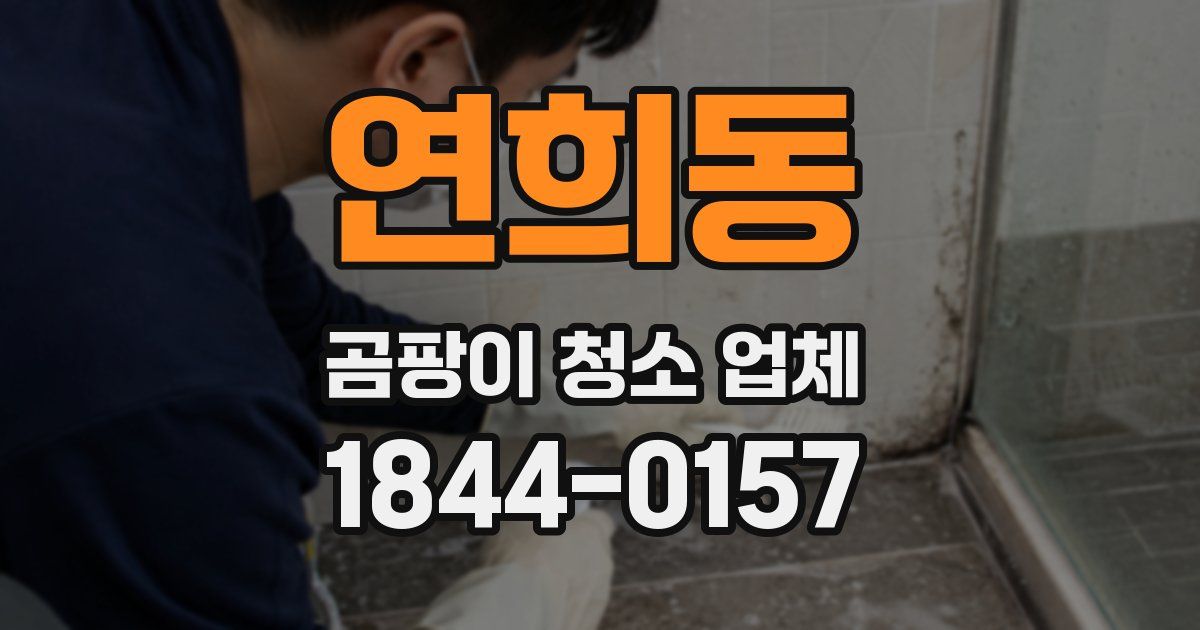 연희동 곰팡이 청소 업체