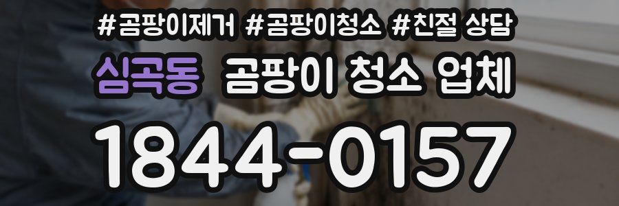 심곡동 곰팡이 청소 업체