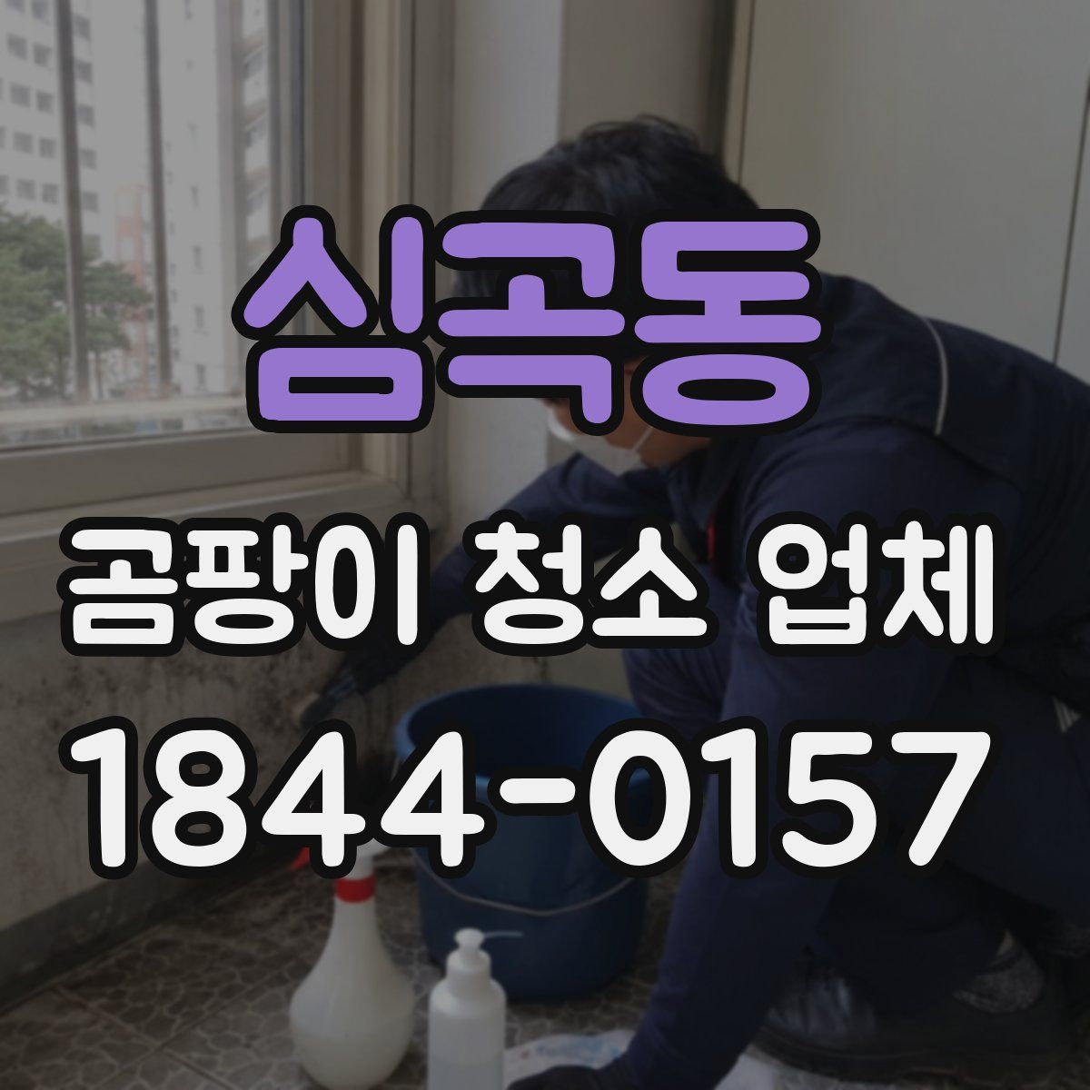 심곡동 곰팡이 청소 업체