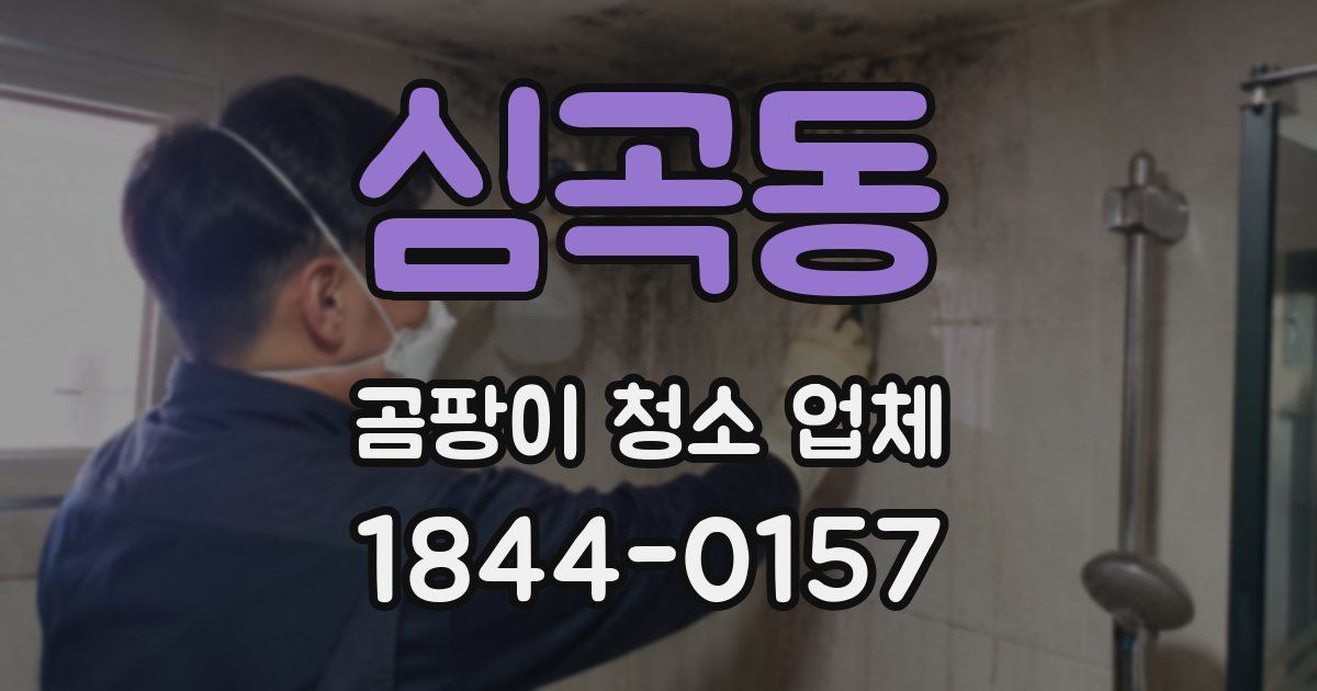 심곡동 곰팡이 청소 업체