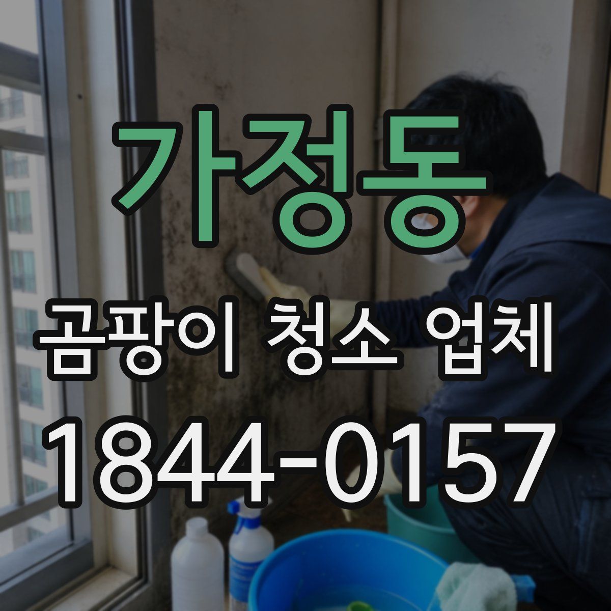 가정동 곰팡이 청소 업체