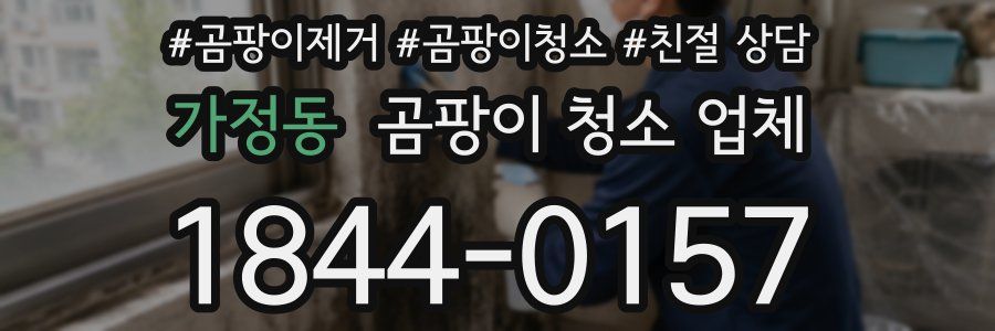 가정동 곰팡이 청소 업체