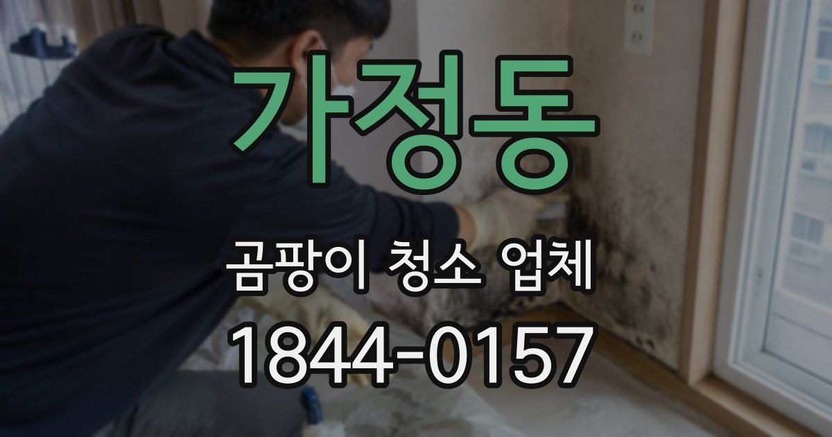 가정동 곰팡이 청소 업체