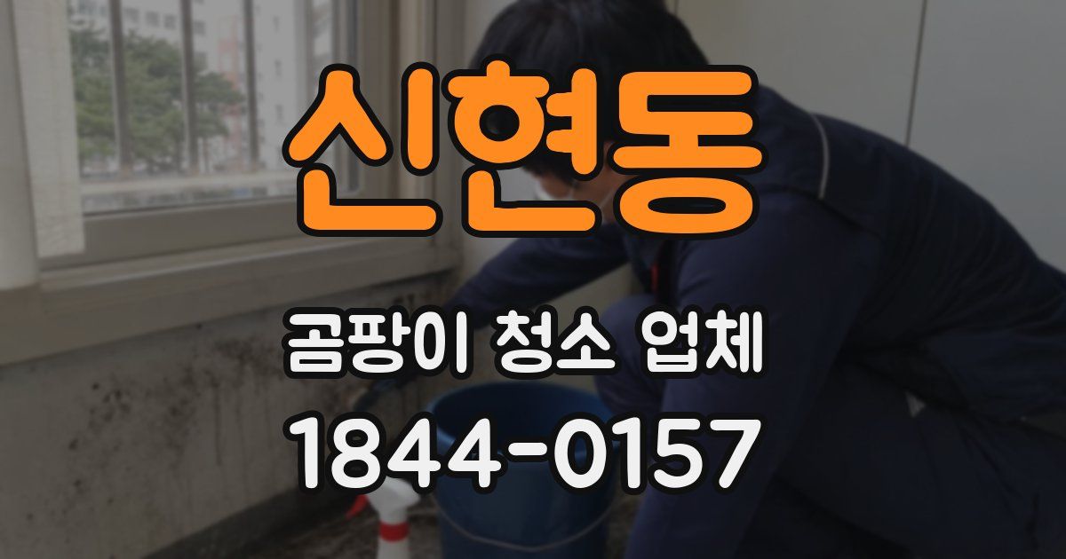 신현동 곰팡이 청소 업체