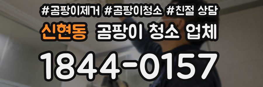 신현동 곰팡이 청소 업체