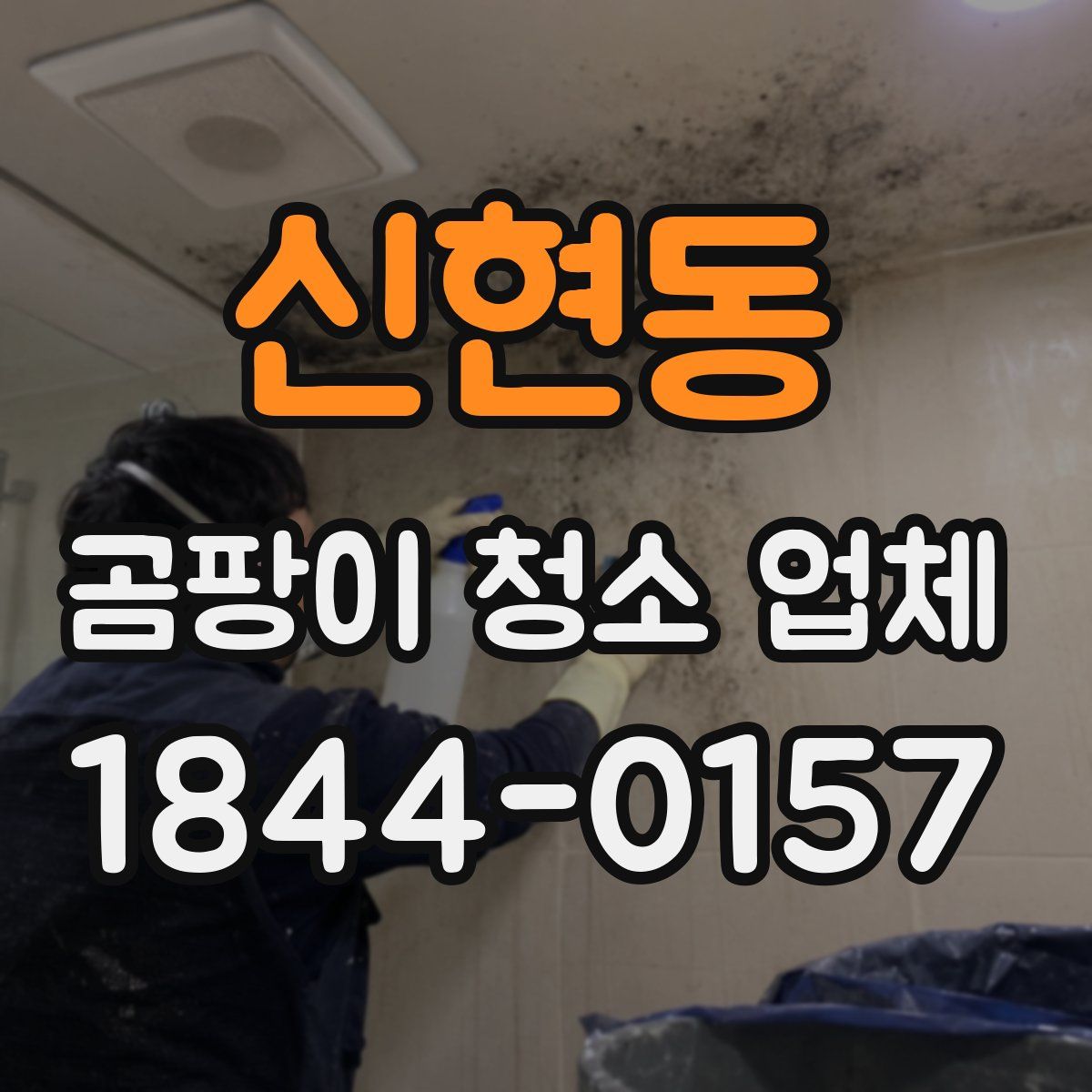 신현동 곰팡이 청소 업체