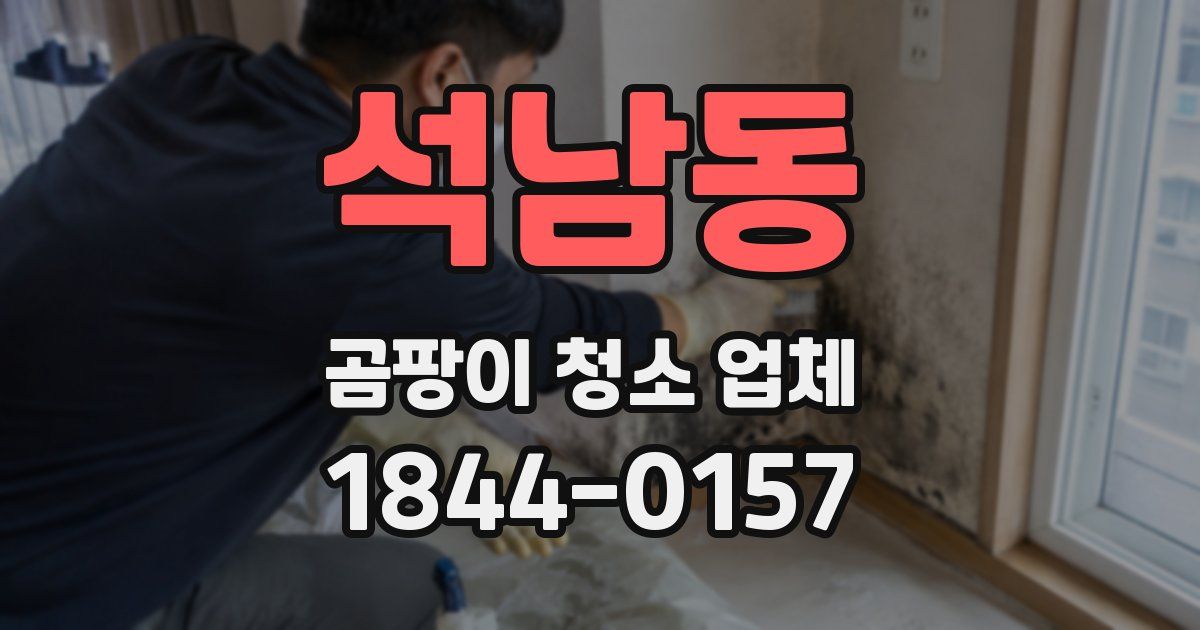 석남동 곰팡이 청소 업체