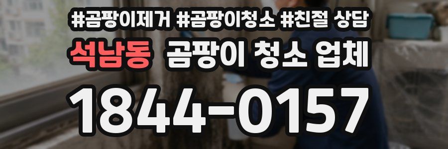 석남동 곰팡이 청소 업체