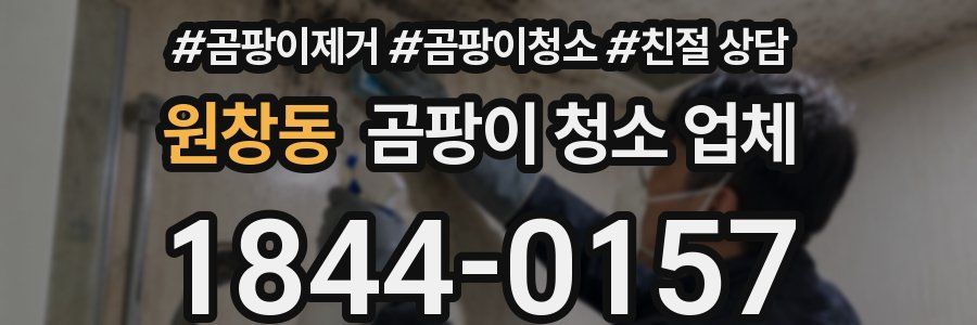 원창동 곰팡이 청소 업체