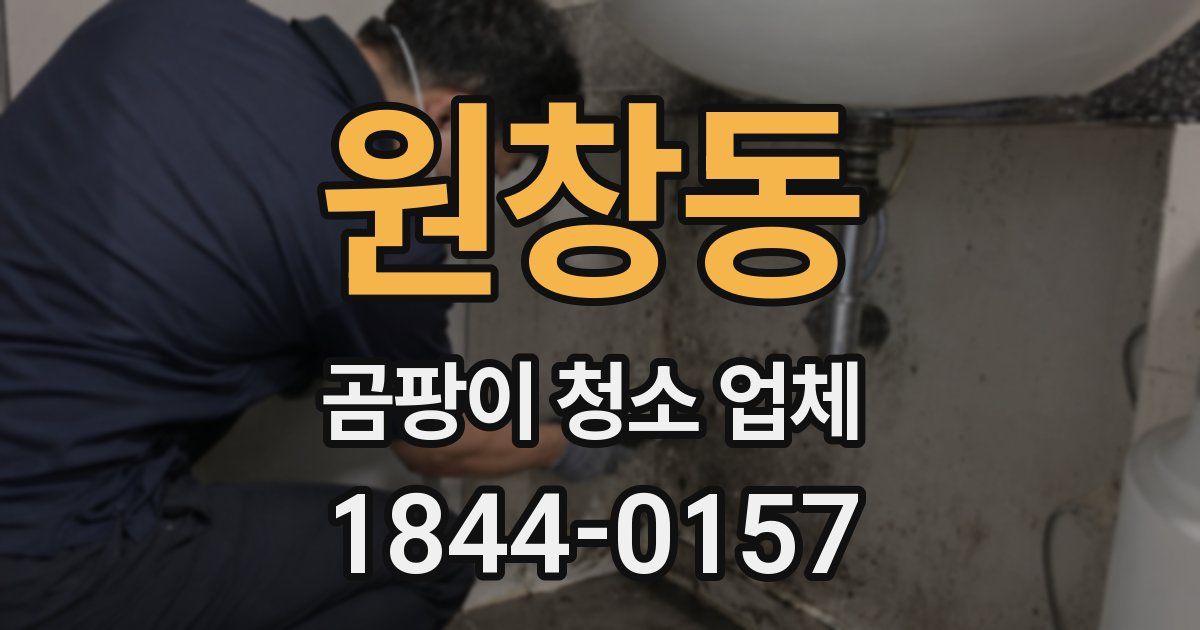 원창동 곰팡이 청소 업체