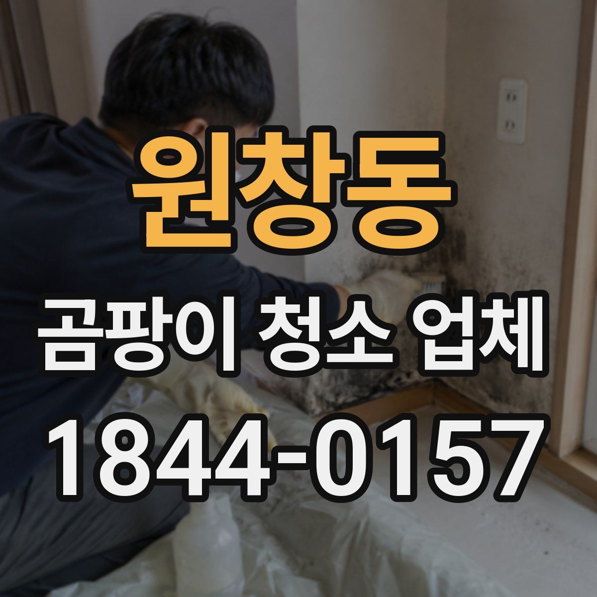 원창동 곰팡이 청소 업체