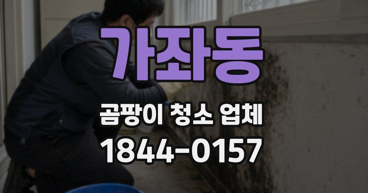 가좌동 곰팡이 청소 업체