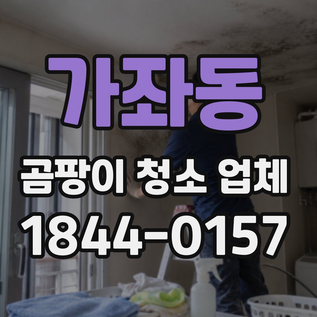 가좌동 곰팡이 청소 업체