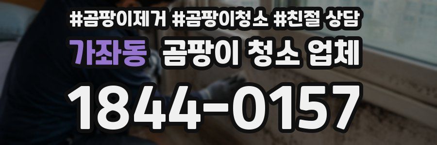 가좌동 곰팡이 청소 업체