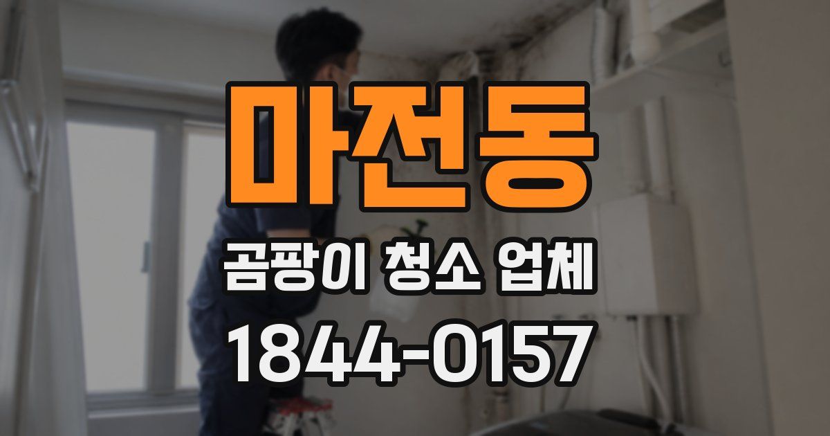 마전동 곰팡이 청소 업체