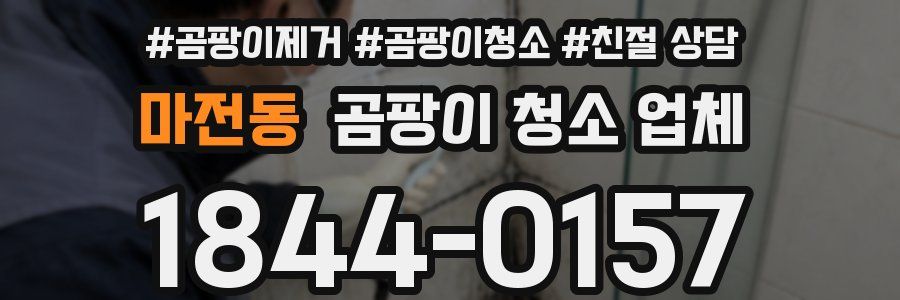 마전동 곰팡이 청소 업체