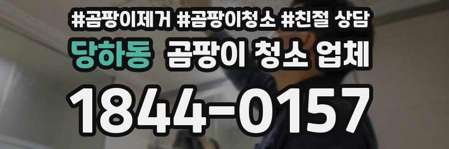 당하동 곰팡이 청소 업체