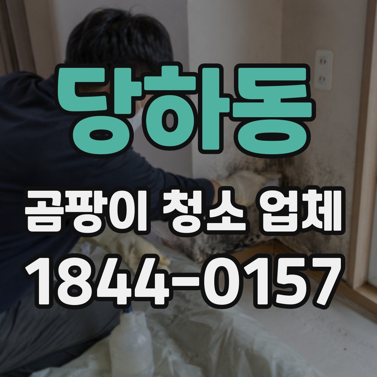 당하동 곰팡이 청소 업체