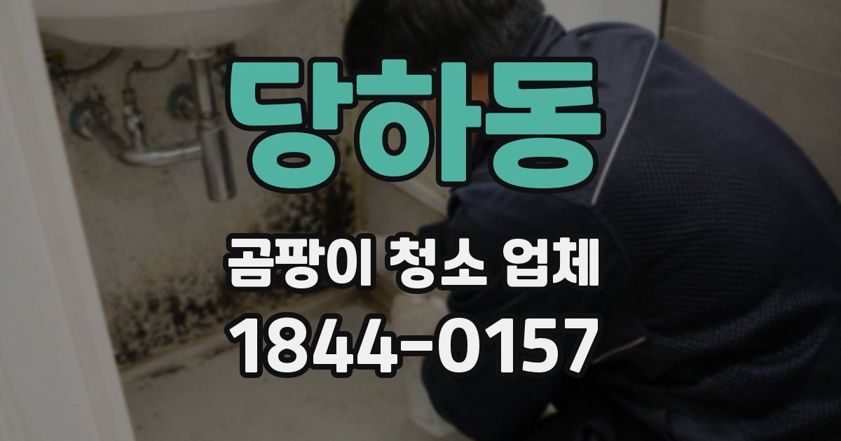 당하동 곰팡이 청소 업체