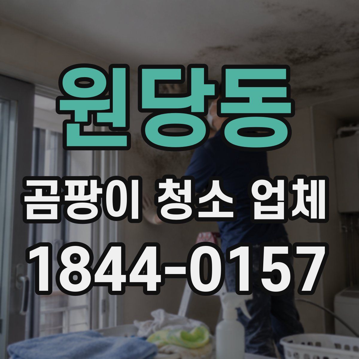 원당동 곰팡이 청소 업체