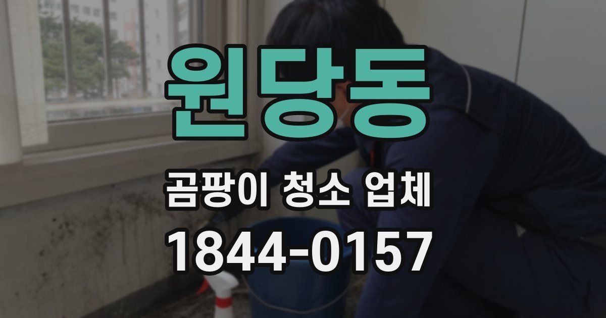 원당동 곰팡이 청소 업체