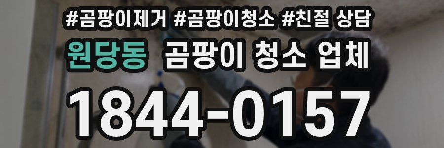 원당동 곰팡이 청소 업체