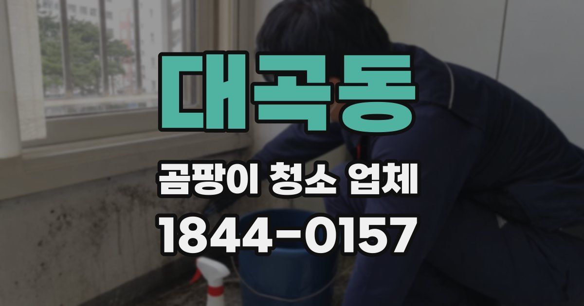 대곡동 곰팡이 청소 업체